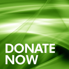 DONATE NOW